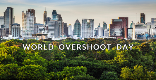 City Skyline with a forest below and text reading World Overshoot Day