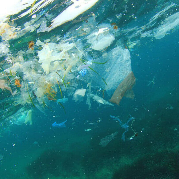 Image of plastic garbage polluting the ocean