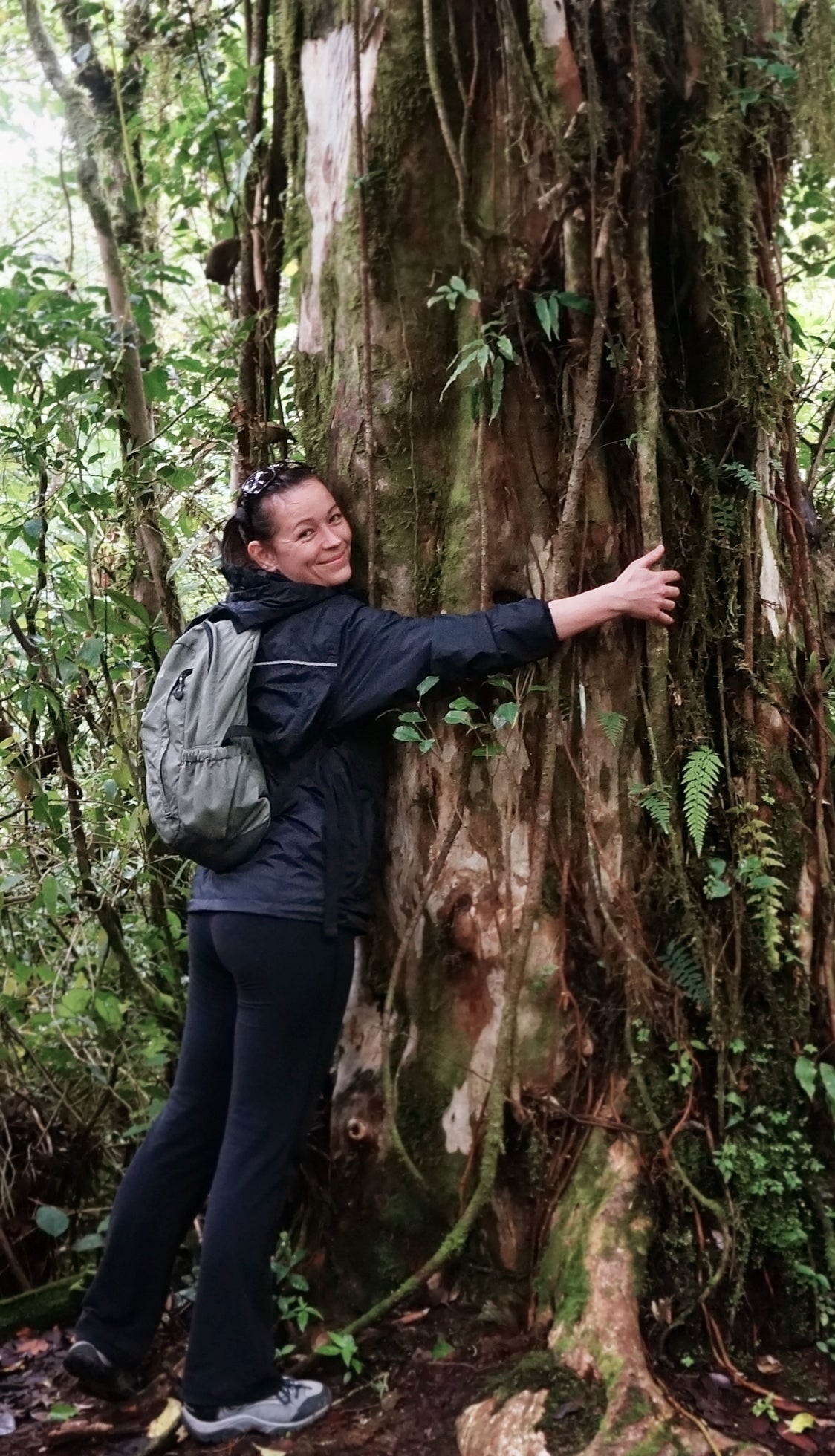 Image of Julie Shark hugging a tree in Costa Rica, circa 2012 when she was younger and cuter