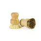 Earth Friendly biodegradable kitchen dish brushes