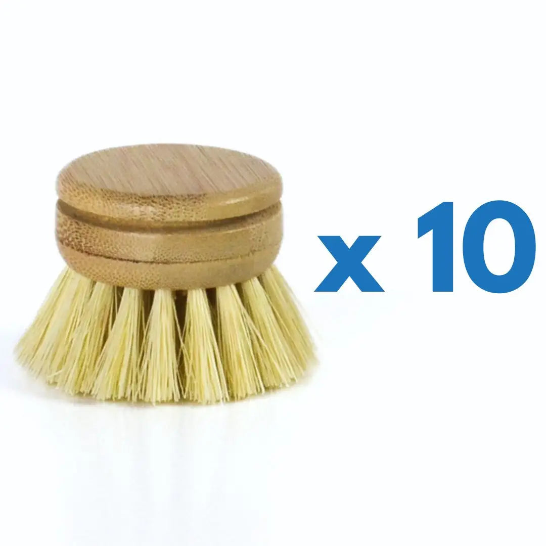 Compostable Refill Bamboo and Sisal dish brush heads Replaceable