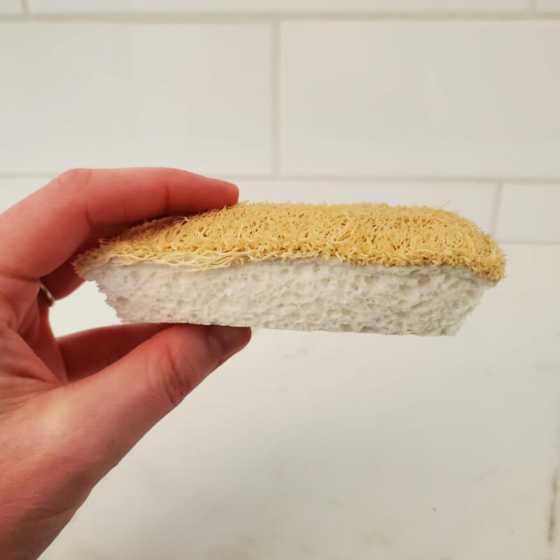 Compostable eco friendly sponge