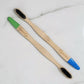 Eco Shark sustainable bamboo toothbrushes for adults in ocean blue and eco green
